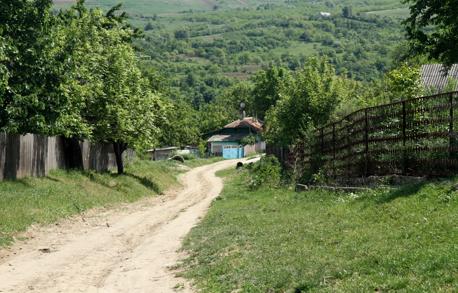 Bravicea, Moldova