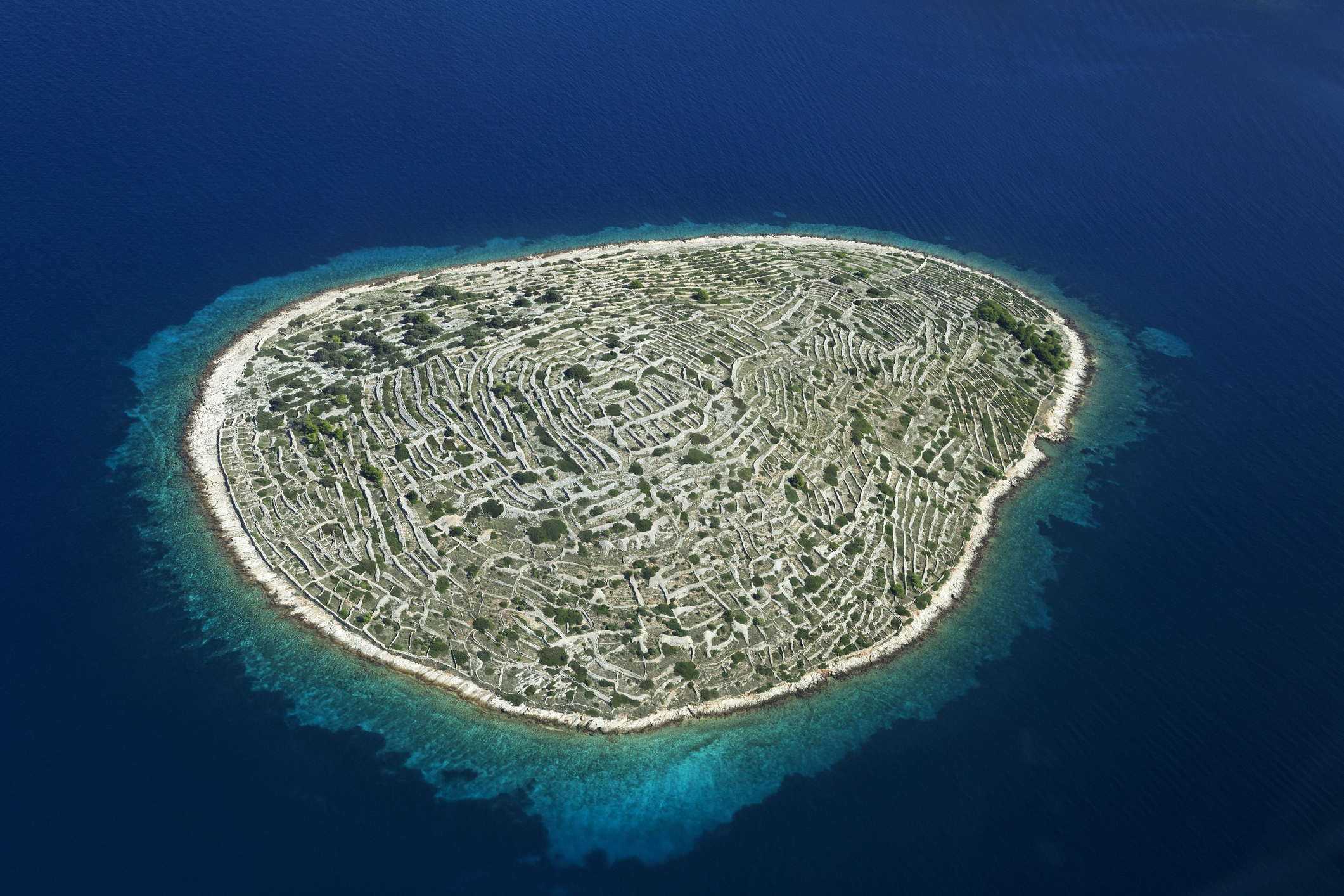 Have You Heard of Baljenac? The Croatian Island Shaped Like a Fingerprint!